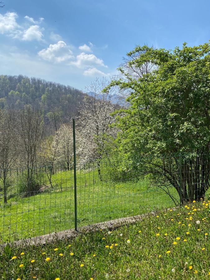 Lanzo D'Intelvi “La Marinella” Apartman Kültér fotó