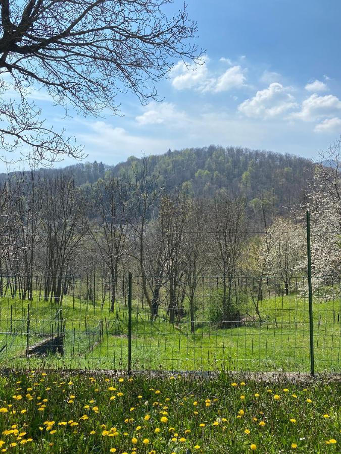 Lanzo D'Intelvi “La Marinella” Apartman Kültér fotó
